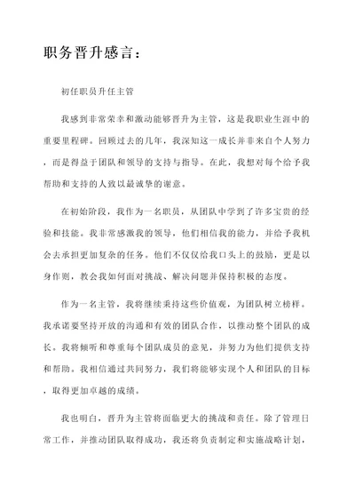 职务晋升发表感言