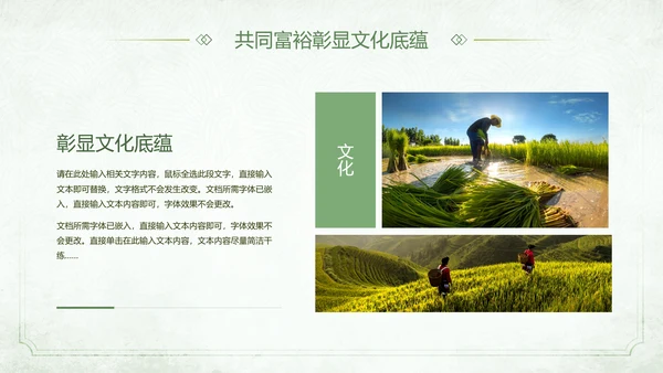 农村发展迈向一同富裕PPT模板