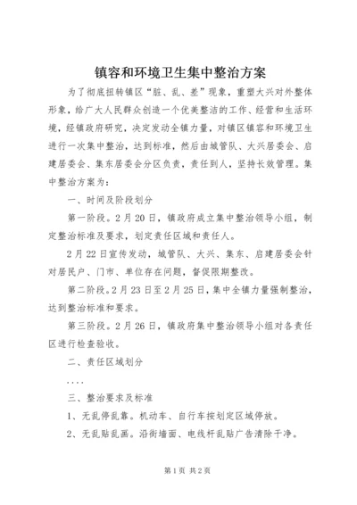 镇容和环境卫生集中整治方案 (3).docx