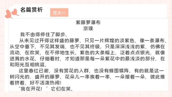 统编版语文三年级下册统编版习作：我的植物朋友 （课件）