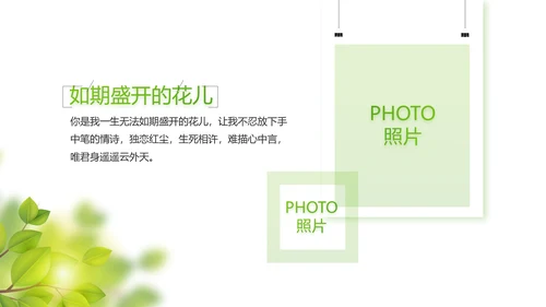 绿色小清新夏日清凉旅游电子相册PPT