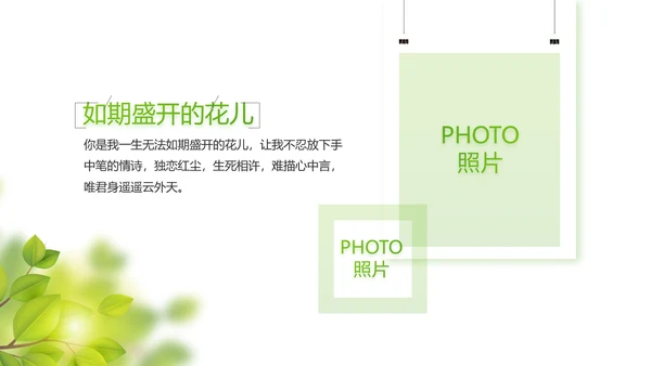 绿色小清新夏日清凉旅游电子相册PPT