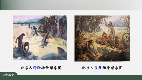 第1课 中国境内早期人类的代表——北京人 课件（26张PPT）