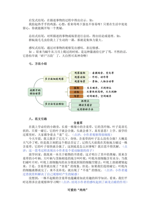 统编版2024-2025学年语文三年级上册第五单元习作 我们眼中的缤纷世界（讲义）