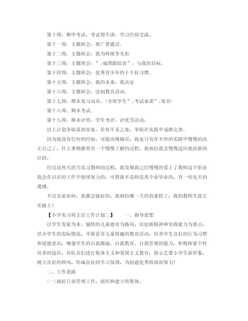 精编之年小学实习班主任工作计划范文.docx