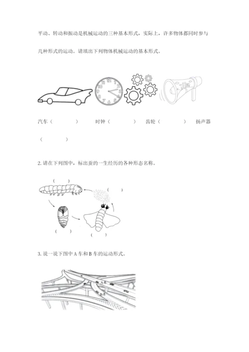 教科版小学科学三年级下册 期末测试卷含完整答案（网校专用）.docx