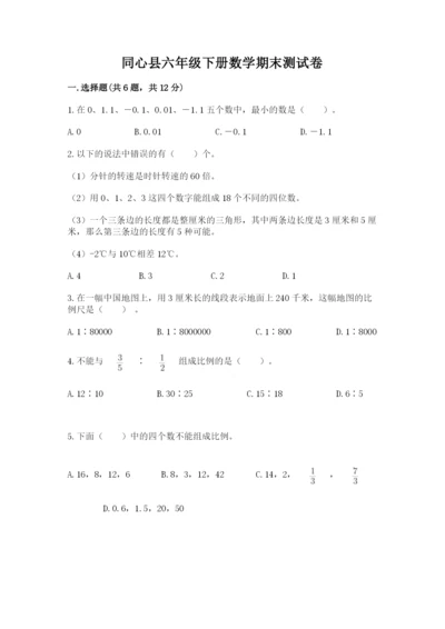 同心县六年级下册数学期末测试卷（巩固）.docx