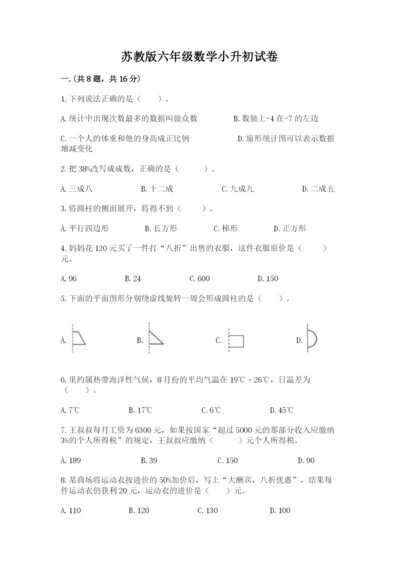 苏教版六年级数学小升初试卷含答案【培优b卷】.docx