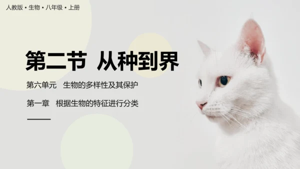 6.1.2+从种到界-【互动课堂】八年级生物上册精品课件（人教版）(共20张PPT)