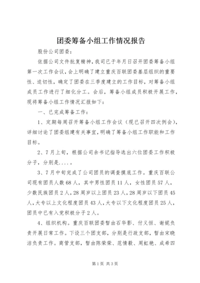 团委筹备小组工作情况报告_1.docx