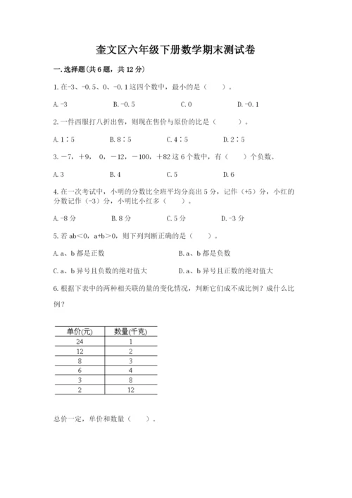 奎文区六年级下册数学期末测试卷精编.docx