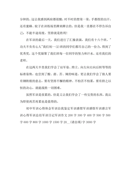 初中生军训小结-军训心得体会-军训小结.docx