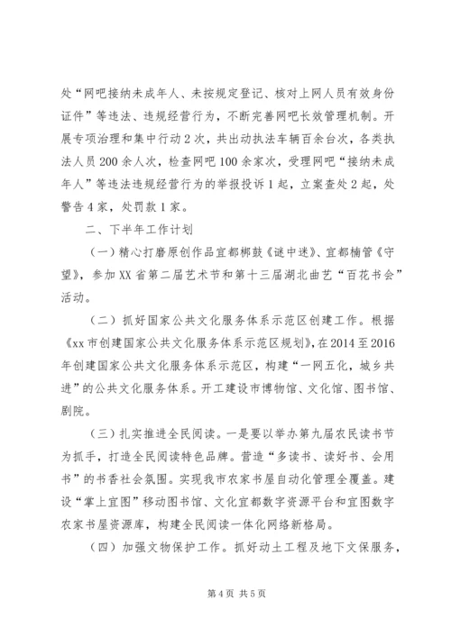 文化局上半年工作总结下半年工作计划.docx