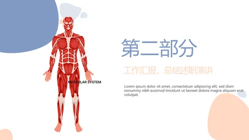 简约医疗骨骼肌肉系统动态PPT