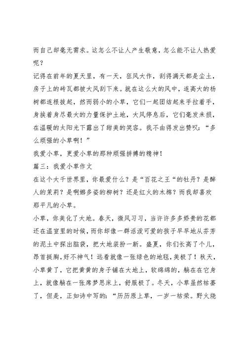 我是小草作文500字6篇