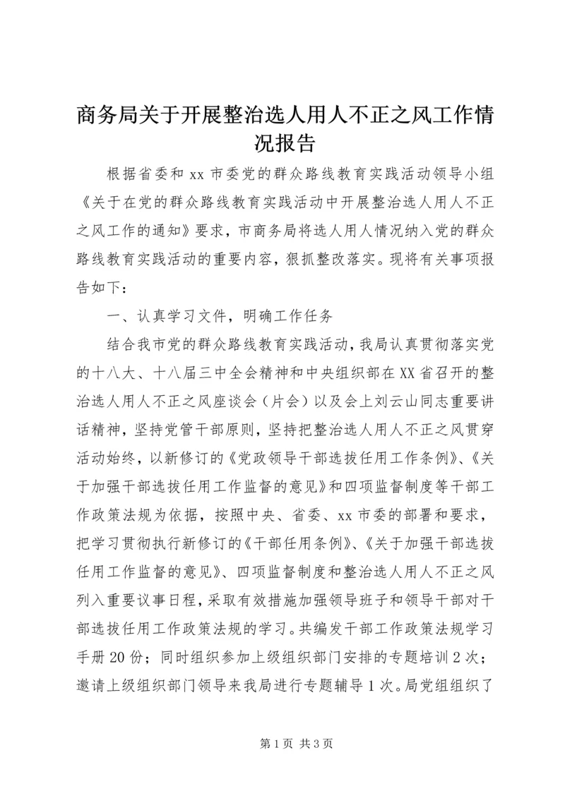 商务局关于开展整治选人用人不正之风工作情况报告.docx