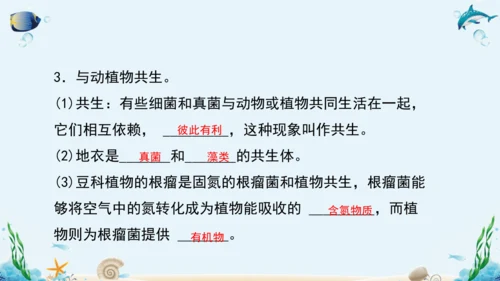 人教版八年级生物上册5.4《细菌和真菌》复习课件（含31张ppt）