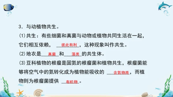 人教版八年级生物上册5.4《细菌和真菌》复习课件（含31张ppt）