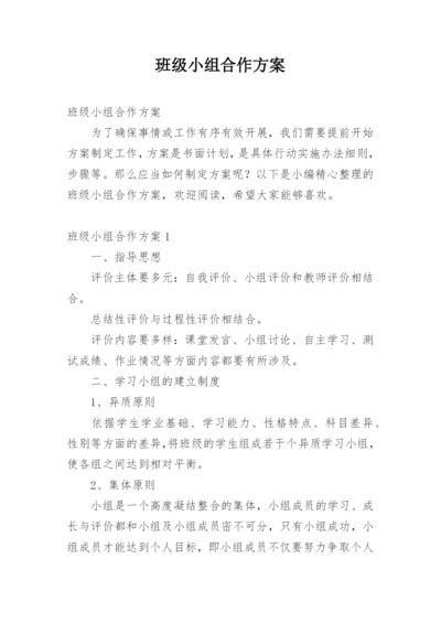 班级小组合作方案.docx