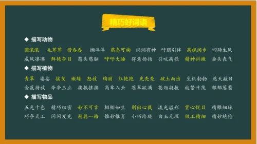 统编版语文五年级上册 第一单元习作： 我的心爱之物课件