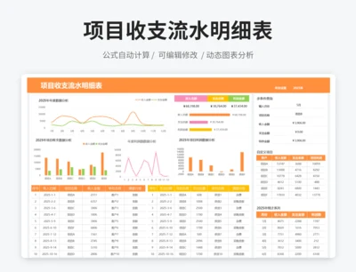 项目收支流水明细表