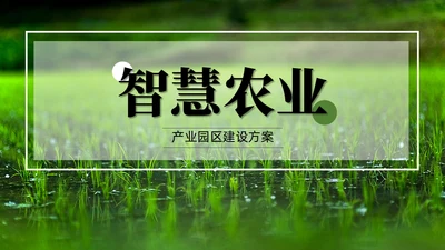 智慧农业禾苗水稻通用PPT模板
