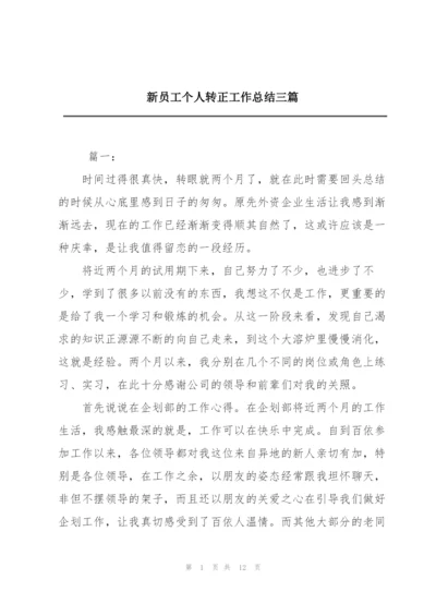 新员工个人转正工作总结三篇.docx