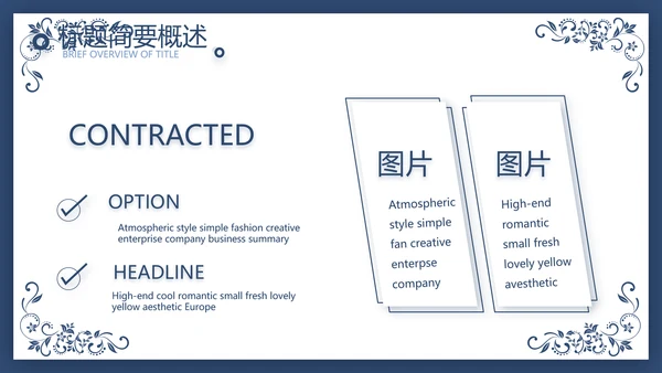 欧式花纹项目创业融资计划书商业计划书PPT