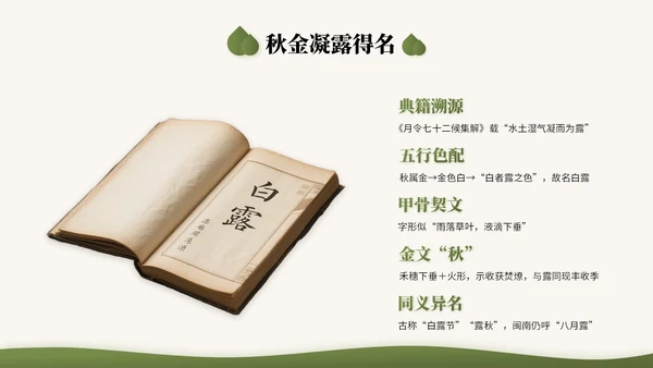 橄榄绿中国风二十四节气之白露节气知识讲座PPT模版