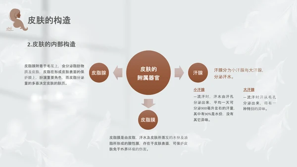 高级灰和棕色简约实拍风美容护肤美容知识培训PPT