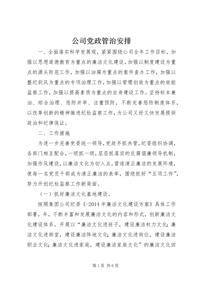 公司党政管治安排.docx