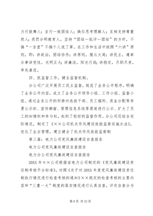 第一篇：电力公司党风廉政建设自查报告 (2).docx