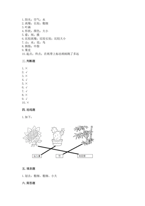 教科版一年级上册科学期末测试卷及答案参考.docx