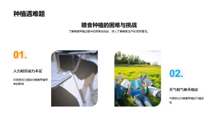 立秋季节与粮食种植