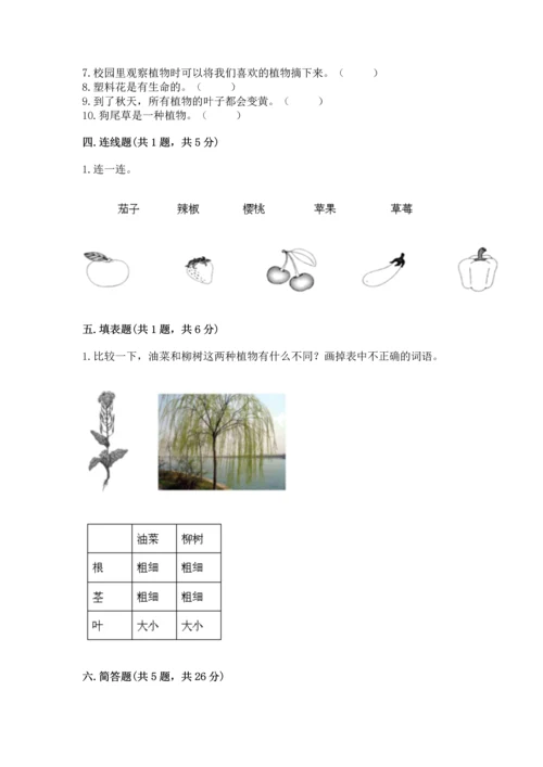 教科版科学一年级上册期末测试卷精品（含答案）.docx