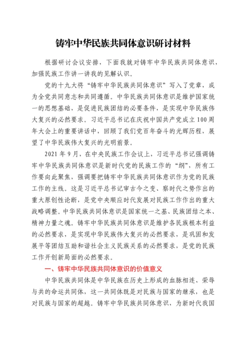 铸牢中华民族共同体意识研讨材料.docx