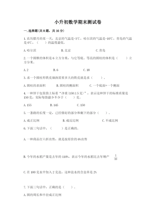 小升初数学期末测试卷【考点精练】.docx