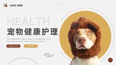 黄色实用宠物健康护理PPT模板