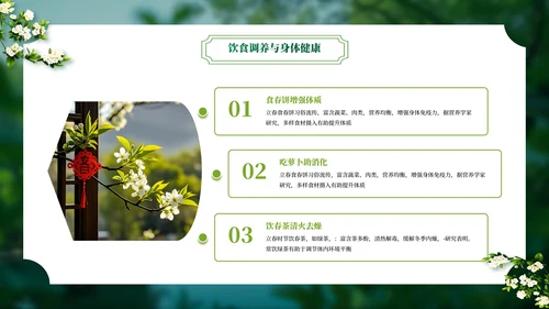 绿色二十四节气立春PPT模板