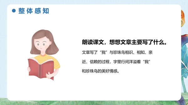 《珍珠鸟》五年级语文课件PPT模板