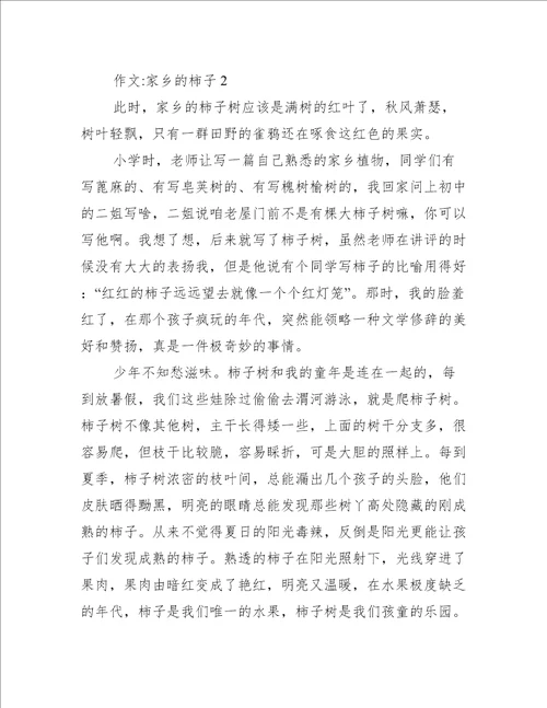吃柿子作文3篇