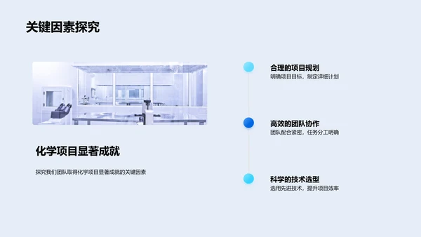 化学项目年度回顾