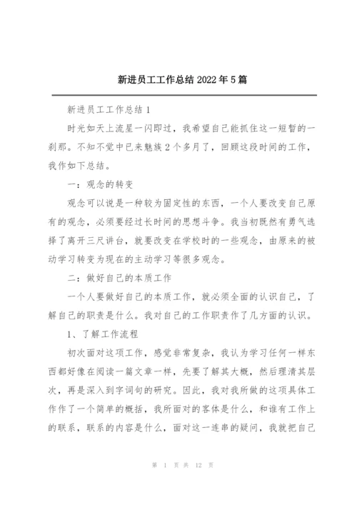 新进员工工作总结2022年5篇.docx