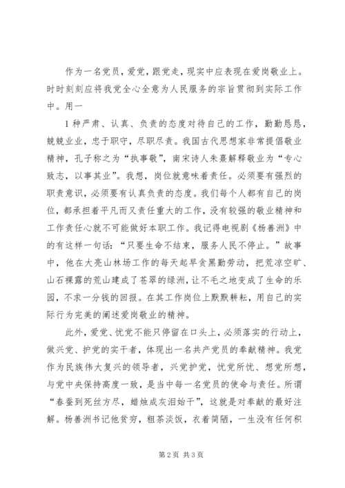 在党爱党从严治党学习心得.docx