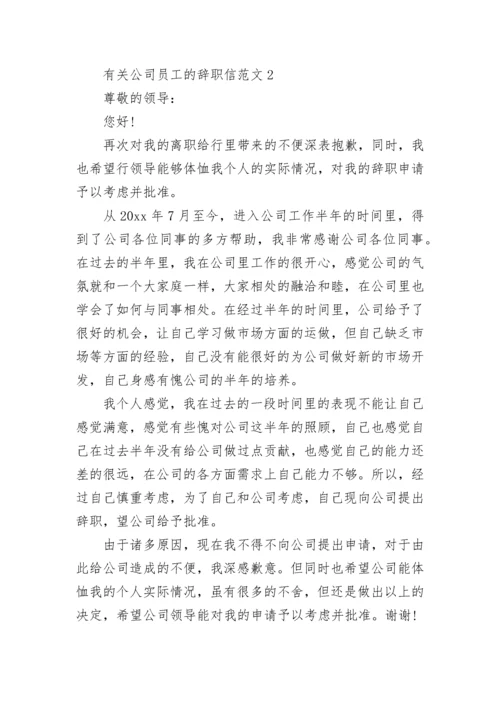 公司员工的辞职信.docx