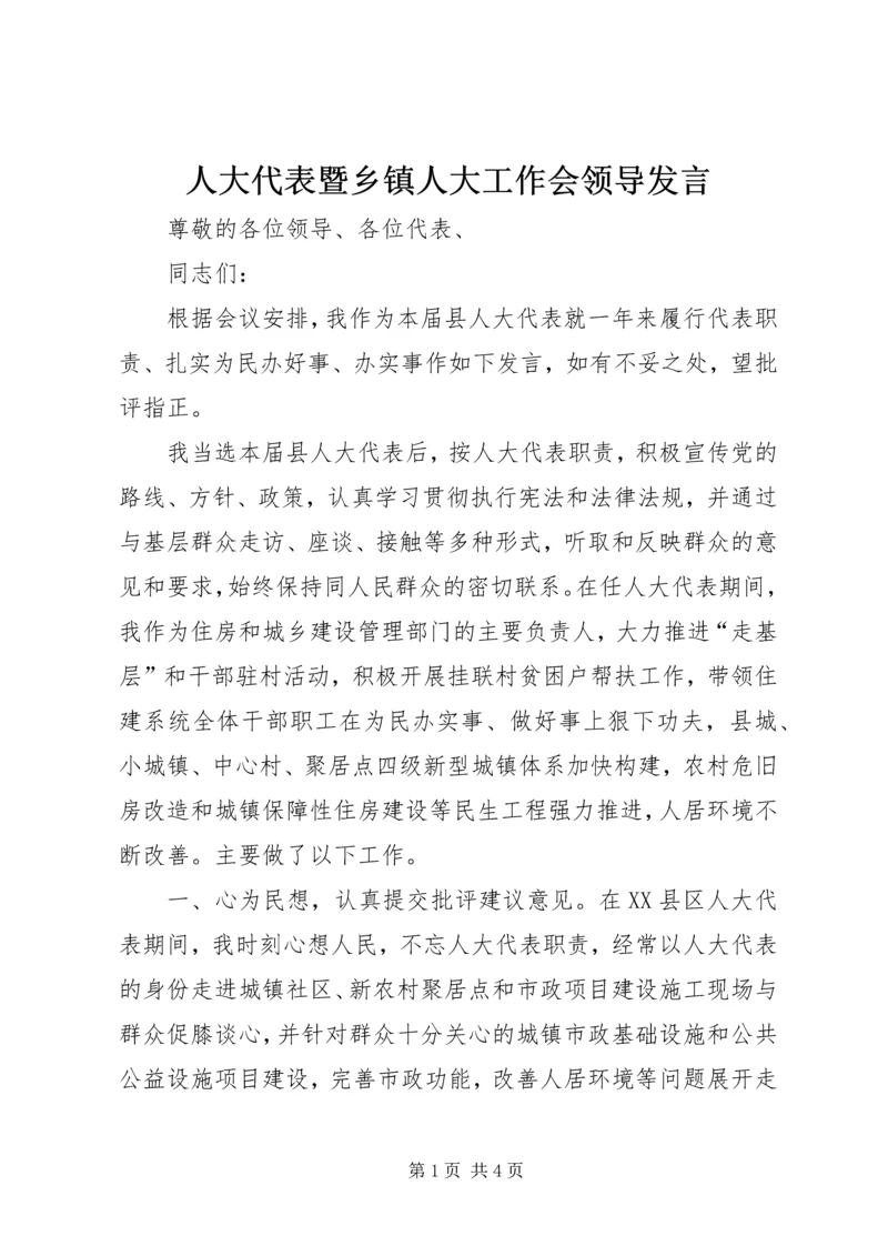 人大代表暨乡镇人大工作会领导讲话.docx