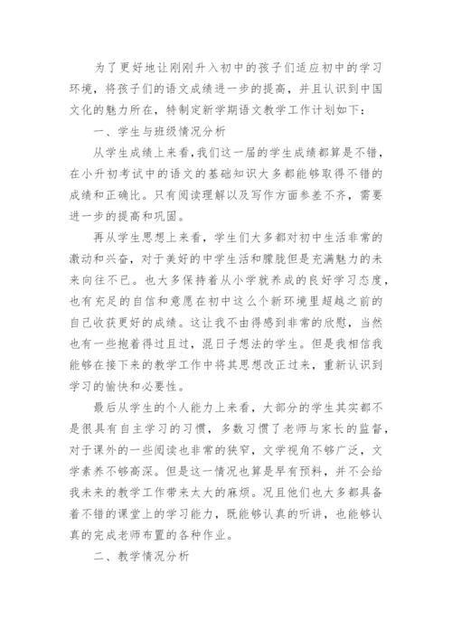 初中语文教师个人工作计划范文.docx