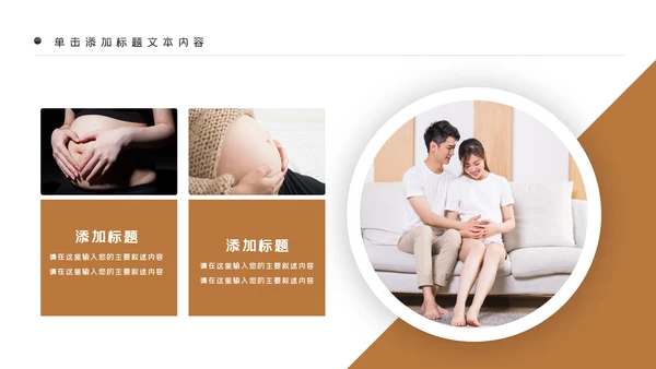 母婴健康知识孕婴保健健康知识ppt模板