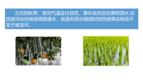 人教版物理八年级上学期 3.2 熔化和凝固  课件（53页ppt）