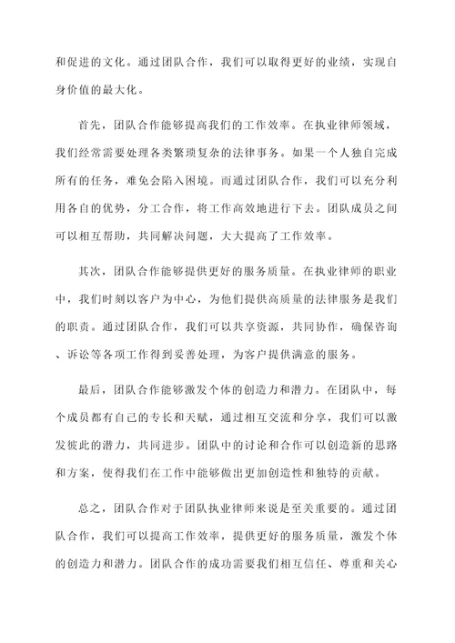 团队执业律师感言